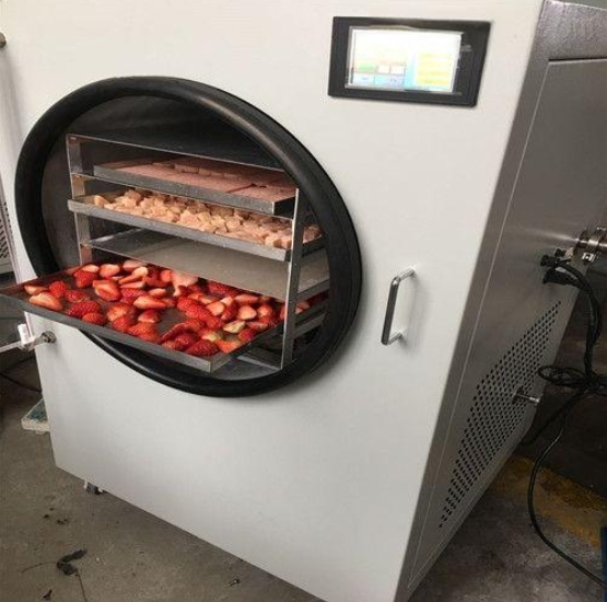 Freeze-Drying
